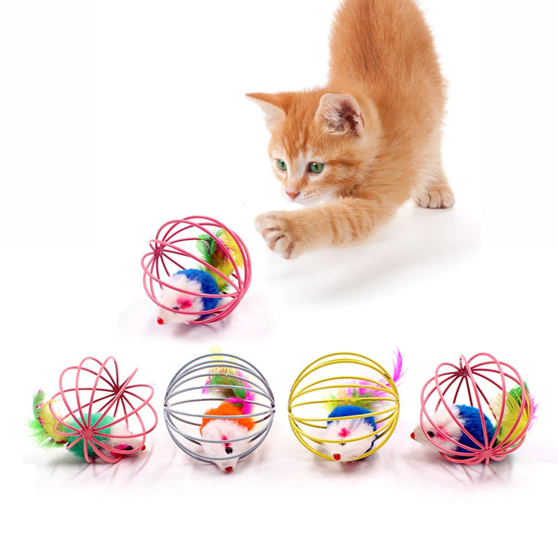 Cat Interactive Toys