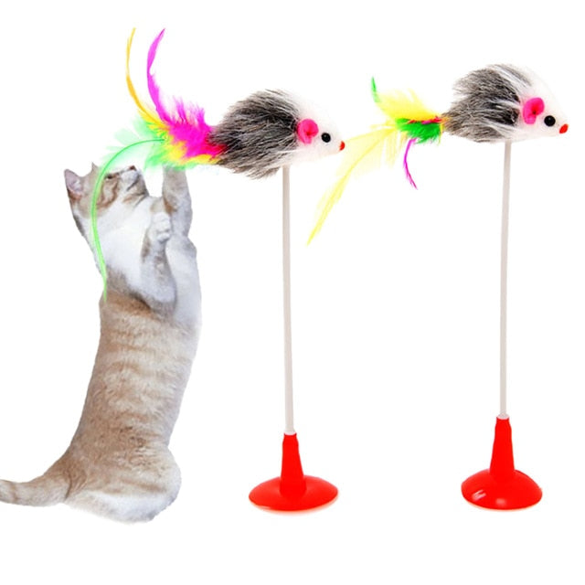 Cat Interactive Toys