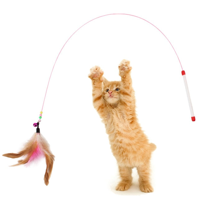 Cat Interactive Toys