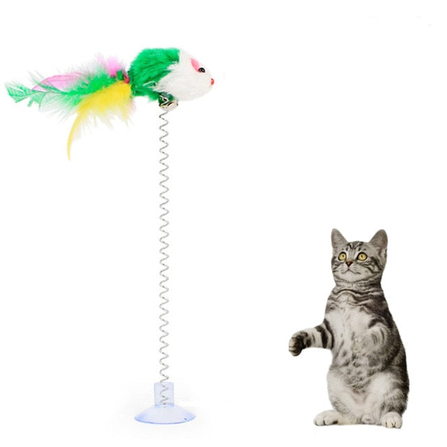 Cat Interactive Toys