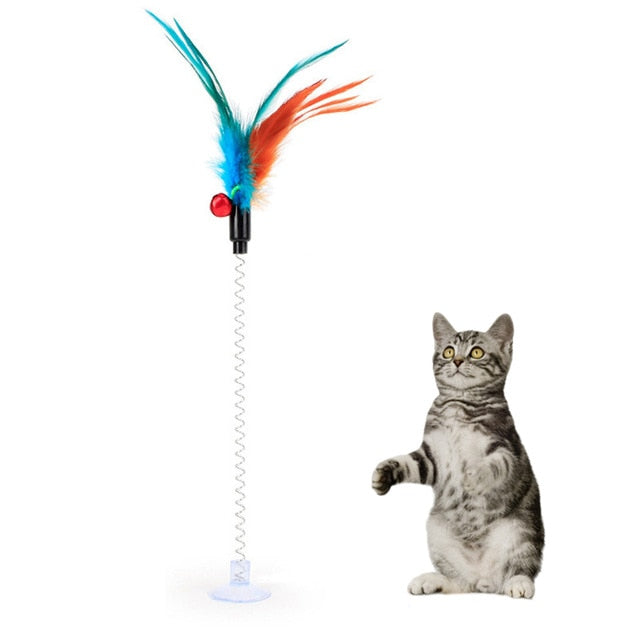 Cat Interactive Toys