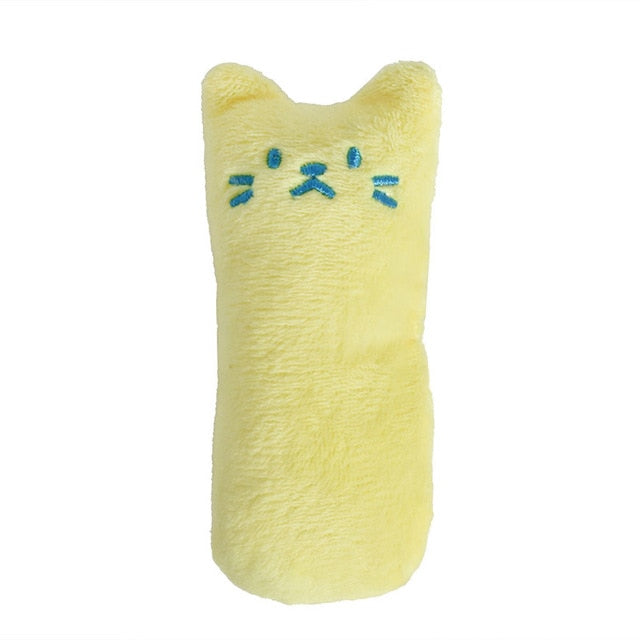 Catnip Toy